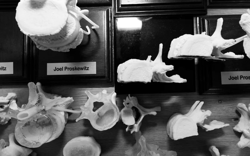 Vertebral specimens on a lab wall, each labelled Joel Proskewitz